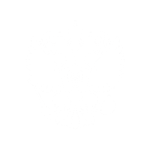 Лого реестр Минсвязи Реестр российских программ